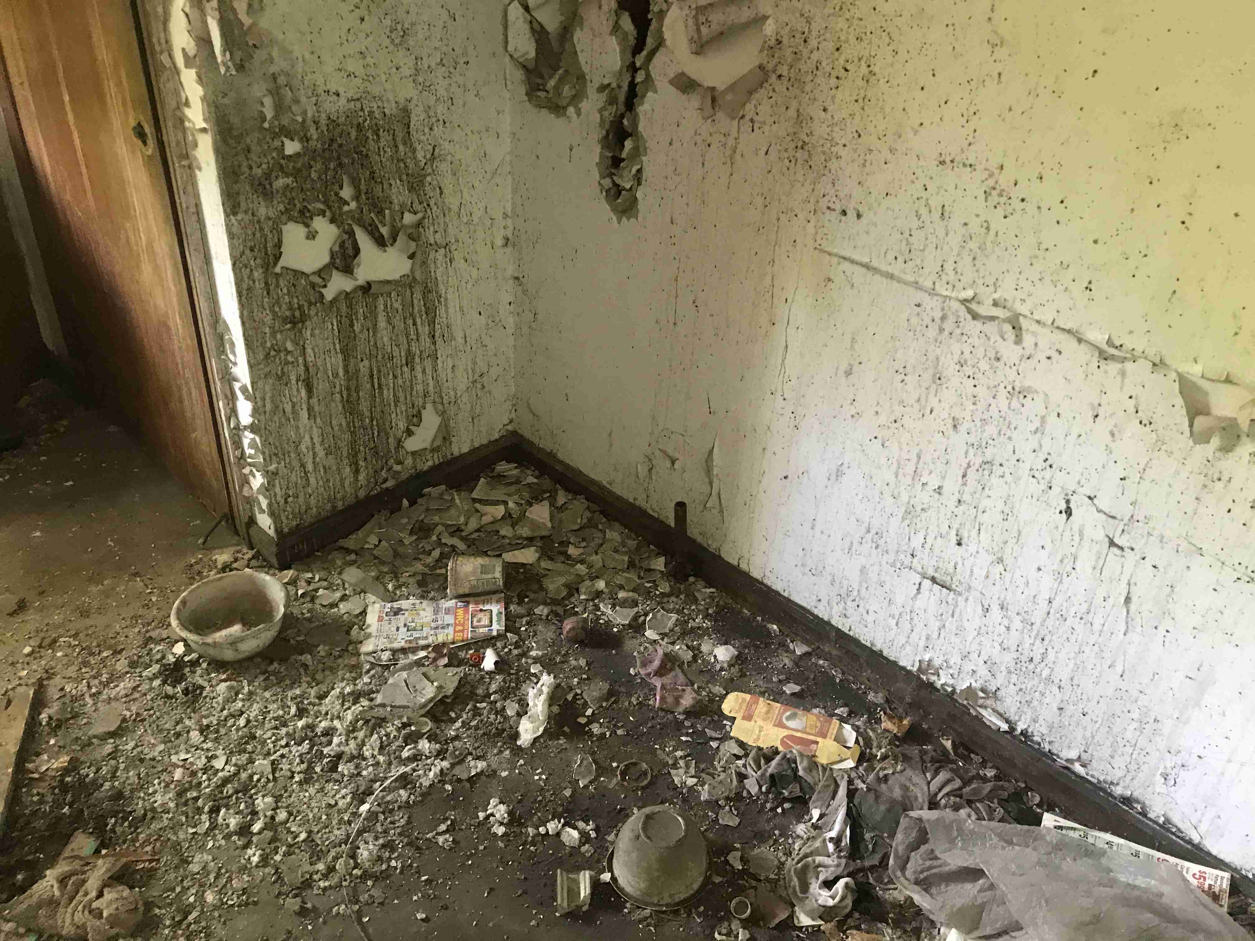 Photo Aug 20, 1 29 53 PM.jpg